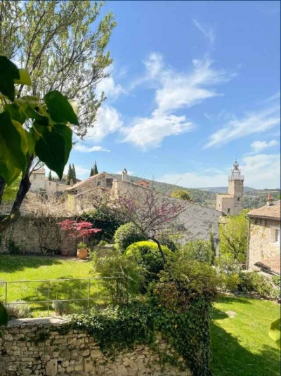 'Le mûrier à vaison-la-romaine' à Vaison-la-romaine