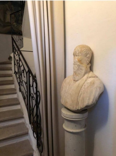 'Le mûrier à vaison-la-romaine' à Vaison-la-romaine