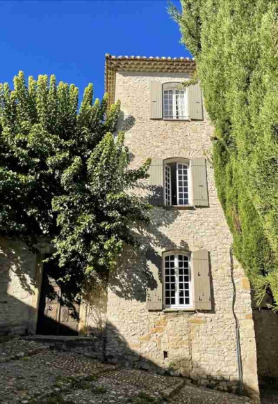 'Le mûrier à vaison-la-romaine' à Vaison-la-romaine
