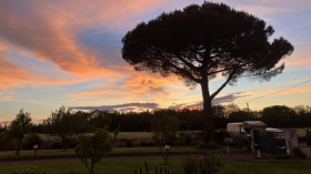 Chambres d'hôtes et gîtes ( capacité totale : 15 personnes) 'L'arbre émaillé' à Guémené-penfao