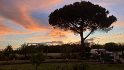 Chambres d'hôtes et gîtes ( capacité totale : 15 personnes) 'L'arbre émaillé' à Guémené-penfao