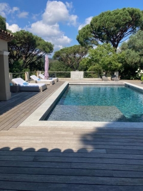 'Les pins parasols' à Grimaud