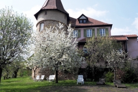 Chambres d'hôtes, Appartements 'Clos froehn' à Zellenberg