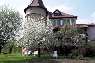 Chambres d'hôtes, Appartements 'Clos froehn' à Zellenberg