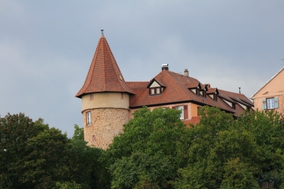 Chambres d'hôtes, Appartements 'Clos froehn' en Alsace