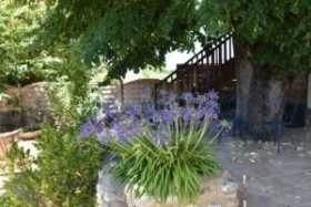 Maison d'Hôte de Charme à la Campagne 'L'aubier du tilleul' à Chanos-curson