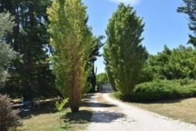 Maison d'Hôte de Charme à la Campagne 'L'aubier du tilleul' à Chanos-curson