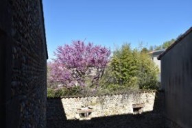 Vue Chambre Figuier