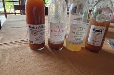 Maison d'Hôte de Charme à la Campagne 'L'aubier du tilleul' à Chanos-curson