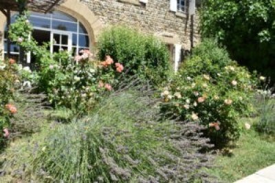 Maison d'Hôte de Charme à la Campagne 'L'aubier du tilleul' à Chanos-curson