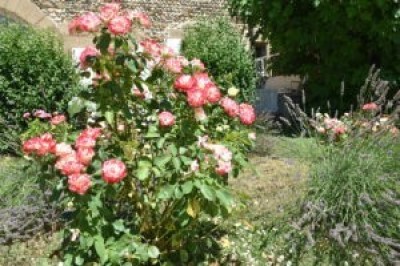 Maison d'Hôte de Charme à la Campagne 'L'aubier du tilleul' à Chanos-curson
