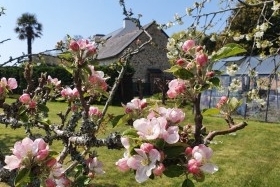 Chambres et table d'hôtes bio 'Maison d'hôtes Au 46' à Benodet