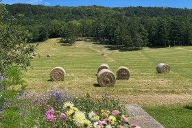 'Clos de mont july' à Ceyzeriat