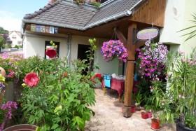 'Les bougainvilliers ' à Kintzheim