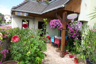 'Les bougainvilliers ' à Kintzheim