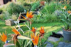 Propriété avec jardin d'eau 'Chambres d'hotes du haut anjou' à Thorigné-d'anjou - 49220 (france)
