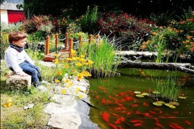 Propriété avec jardin d'eau 'Chambres d'hotes du haut anjou' à Thorigné-d'anjou - 49220 (france)