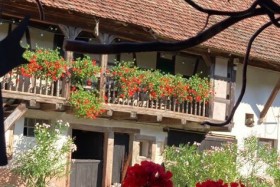 'Ferme freysz - chambres d'hôtes' à Quatzenheim