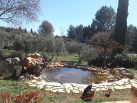 Maison de Vacances et Piscine en Provence verte 'Maison d'Hôtes "Carpe Diem"' à Draguignan