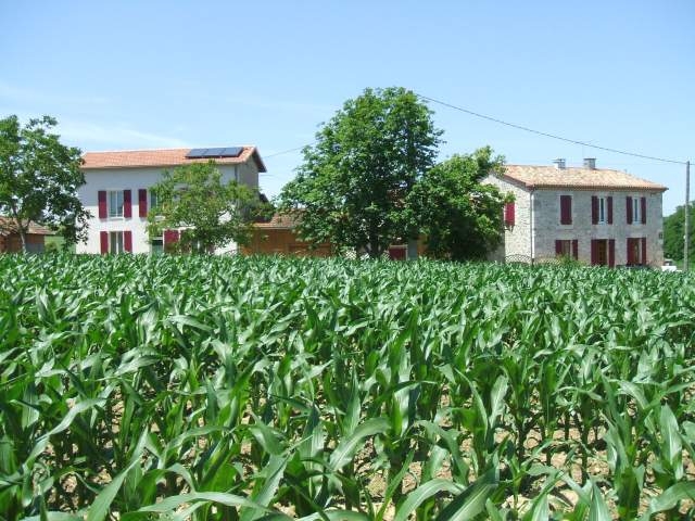 Gîtes-chambres- 'La Vigneraie' à Damazan