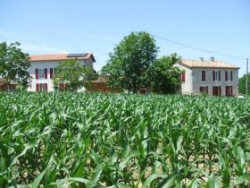 Gîtes-chambres- 'La Vigneraie' à Damazan