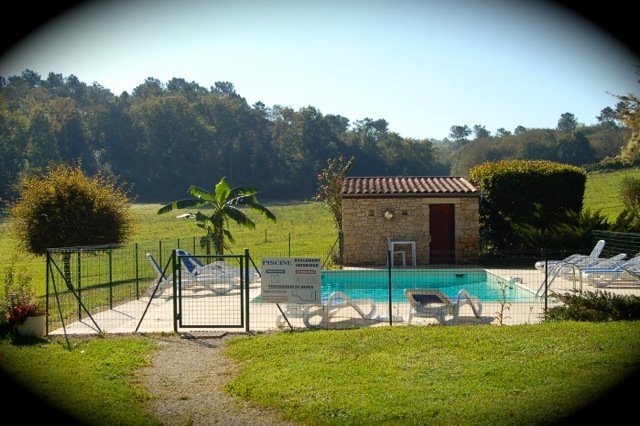 Le jardin et la piscine