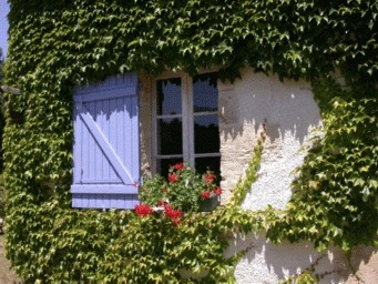Chambre d'hôte 'Domaine de Londeix' à Captieux