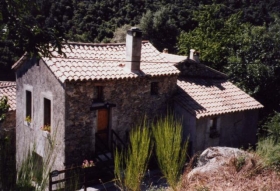 Gîte rural et Chambres d'hôtes 'Lodging, bed and breakfast at the Mas des Nabières in the southern Cévennes' à Saint-martial