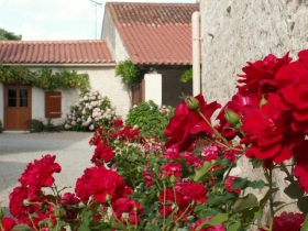 Chambre d'hôte 'Chambres d'hôtes de l'anglée' à Le poiré sur velluire