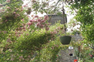 Chambre d'hôte 'Château de lescure' à Saint martin sous vigouroux