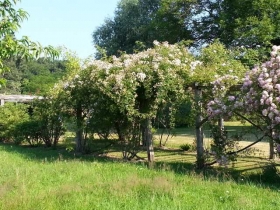 Chambre d'hôte 'Les Logis de la chèvre noire' à Montoldre