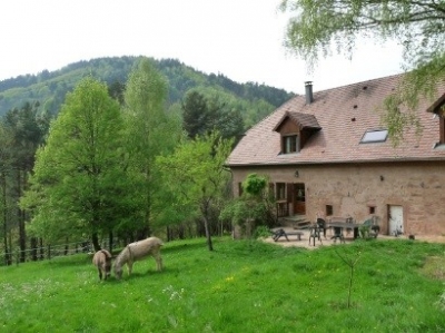 Gîte rural 'Le corps de ferme' en Alsace