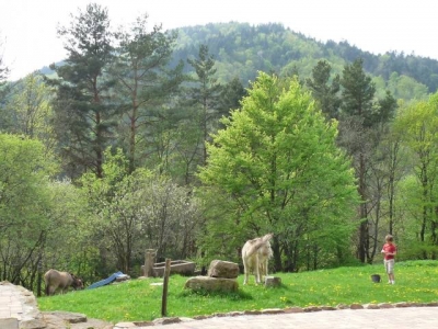 Gîte rural 'Le corps de ferme' à Fouchy