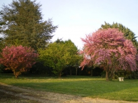 Chambre d'hôte 'La maison de framboise' à Civray de touraine