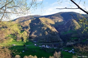 Gîte  'Gites berretechia' à Sainte-engrâce