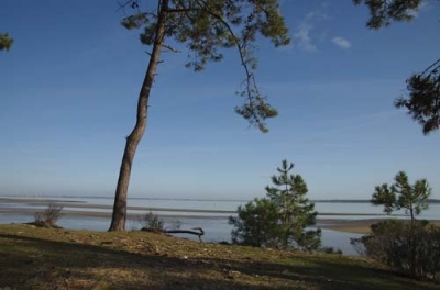 Gîte de séjour 'Le phare de la garde' à La tremblade