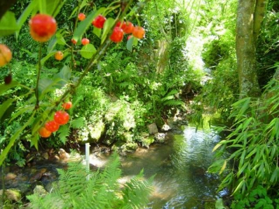 Gîte rural 'Gite du ruisseau' à Aulnoy