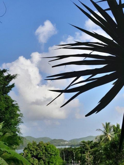 Chambre d'hôte 'La duprey' en Martinique