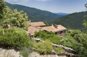 Chambre d'hôte 'Mein Coupétadou, Zimmer und Reizstammtisches im Cevennes' à Vialas