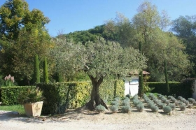 Chambre d'hôte 'La Campagne St Lazare en luberon' à Forcalquier