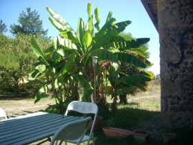 Chambre d'hôte 'Domaine de benauge' à Renung