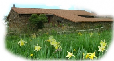 Chambre d'hôte 'La longerine' en Haute Loire