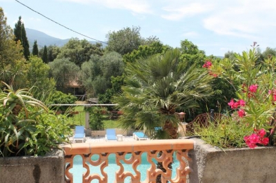 Domaine 'Le clos des oliviers' à Querciolo