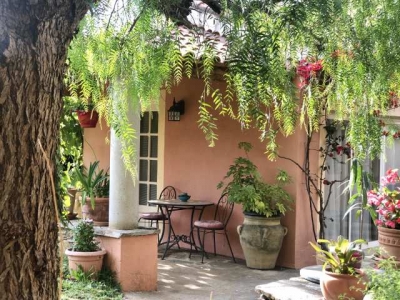 Domaine 'Le clos des oliviers' en Haute Corse