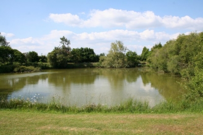 Chambre d'hôte 'Domaine de la bregellerie' en Maine et Loire