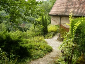 Gîte de séjour 'A l 'Orée du bois' à Lalaye