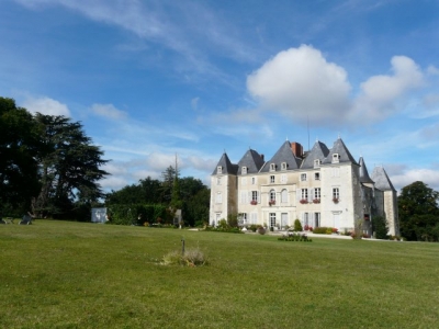 Chambre d'hôte et Gîte 'Chateau de piolant' à Dangé saint romain