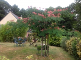 Chambre d'hôte 'Jardin du levant' à Combourg